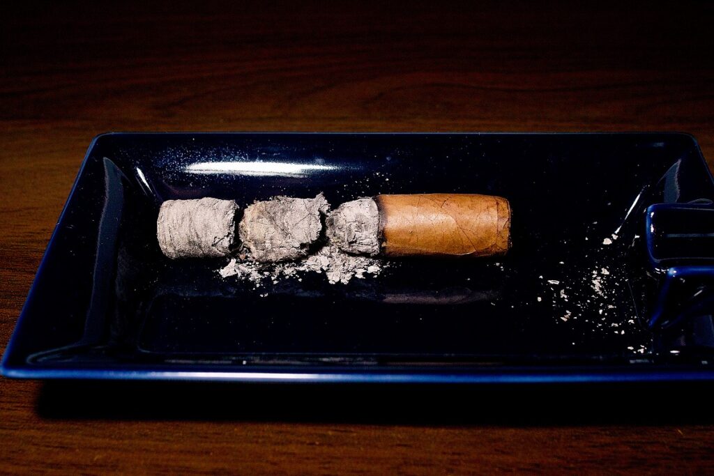 ジノ ニカラグア ハーフコロナ/Zino Nicaragua Half Corona Cigar Review|葉巻/シガー初心者の喫煙レビューブログ|喫煙終了後ファイナルアッシュ
