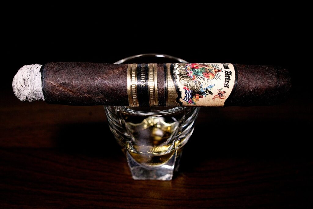 A.J. フェルナンデス ベージャ アルテス マデューロ ロブスト/A.J. Fernandez Bellas Artes Maduro Robusto Cigar Review|葉巻/シガー初心者の喫煙レビューブログ|喫煙序盤ファーストサード