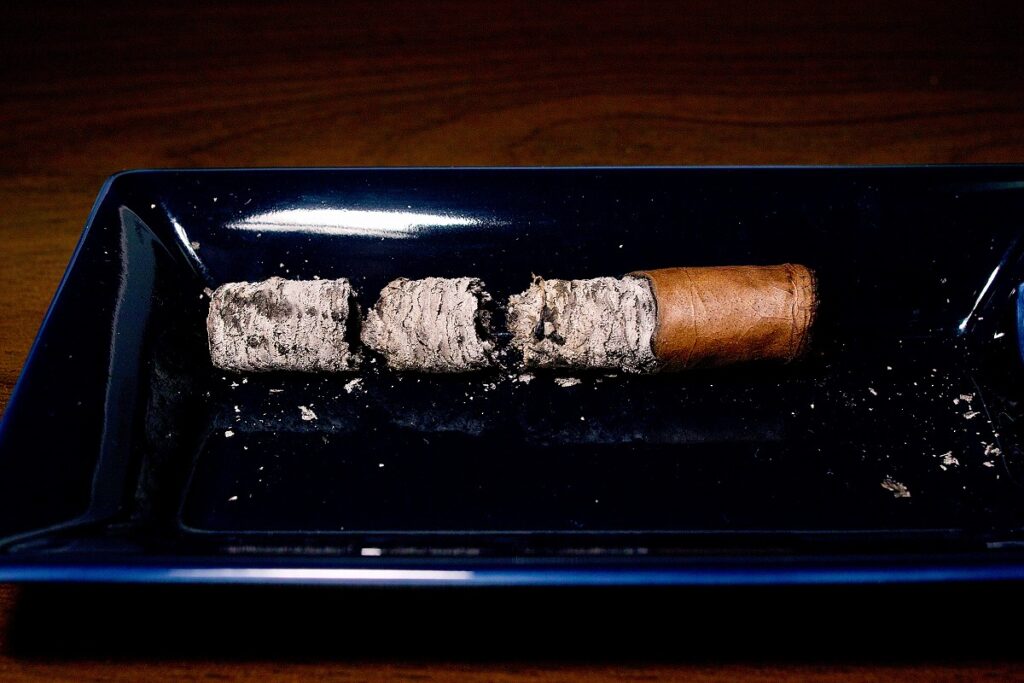 ベガフィナ ニカラグア ショート/VegaFina Nicaragua Short Cigar Review｜葉巻/シガー初心者の喫煙レビューブログ｜喫煙終了後ファイナルアッシュ