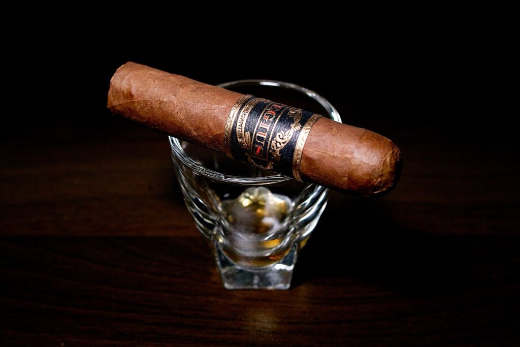 レジウス ブラックラベル メディアコロナ/Regius Black Label Media Corona Cigar Review｜葉巻/シガー初心者の喫煙レビューブログ｜ギャラリー2