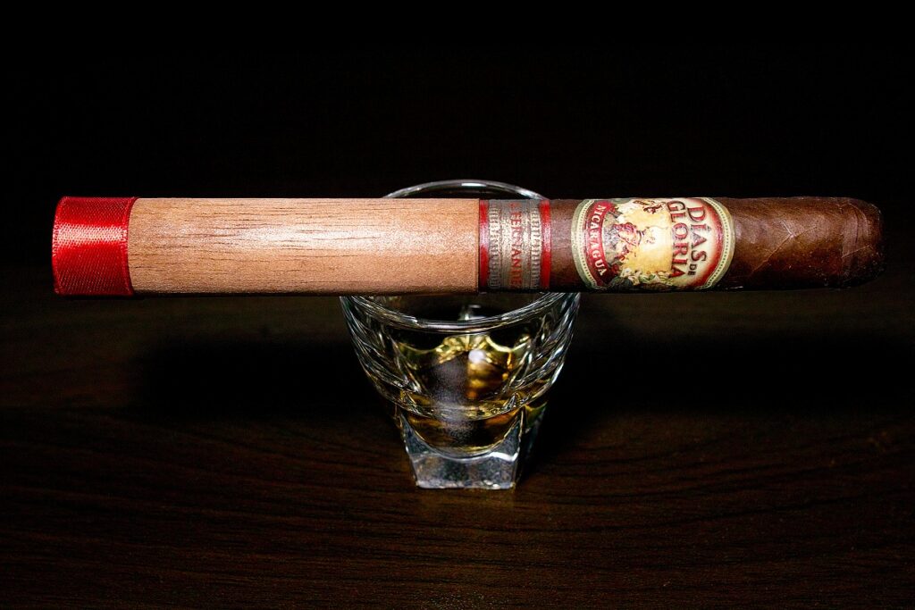 A.J. フェルナンデス ディアス デ グロリア ショートチャーチル/A.J. Fernandez Dias de Gloria Short Churchill Cigar Review|葉巻/シガー初心者の喫煙レビューブログ|ギャラリー1