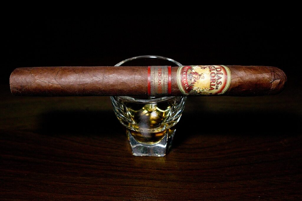 A.J. フェルナンデス ディアス デ グロリア ショートチャーチル/A.J. Fernandez Dias de Gloria Short Churchill Cigar Review|葉巻/シガー初心者の喫煙レビューブログ|ギャラリー2