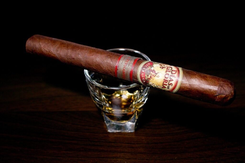 A.J. フェルナンデス ディアス デ グロリア ショートチャーチル/A.J. Fernandez Dias de Gloria Short Churchill Cigar Review｜葉巻/シガー初心者の喫煙レビューブログ｜ギャラリー4