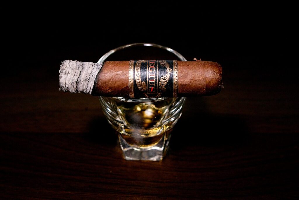 レジウス ブラックラベル メディアコロナ/Regius Black Label Media Corona Cigar Review｜葉巻/シガー初心者の喫煙レビューブログ｜喫煙序盤の終わり頃ファーストサード