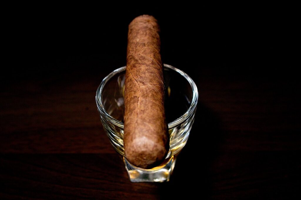 チンチャレロ ペティロブスト (2ヶ月間自家発酵器熟成)/Chinchalero Picadillos (Aging in Fermentation Chamber for 2 Months) Cigar Review｜葉巻/シガー初心者の喫煙レビューブログ｜ギャラリー4