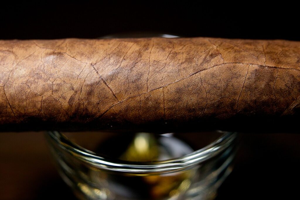 チンチャレロ ペティロブスト (2ヶ月間自家発酵器熟成)/Chinchalero Picadillos (Aging in Fermentation Chamber for 2 Months) Cigar Review｜葉巻/シガー初心者の喫煙レビューブログ｜ギャラリー7