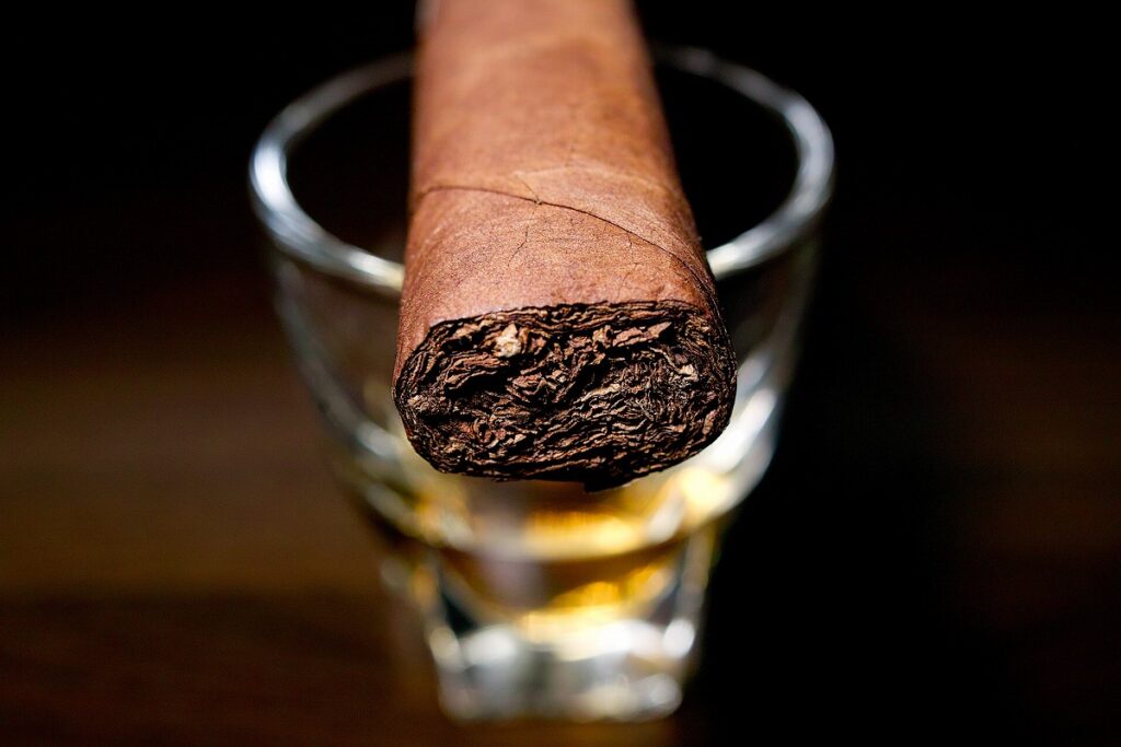 A.J. フェルナンデス ベジャス アルテス ロブスト/A.J. Fernandez Bellas Artes Robusto Cigar Review｜葉巻/シガー初心者の喫煙レビューブログ｜ギャラリー6