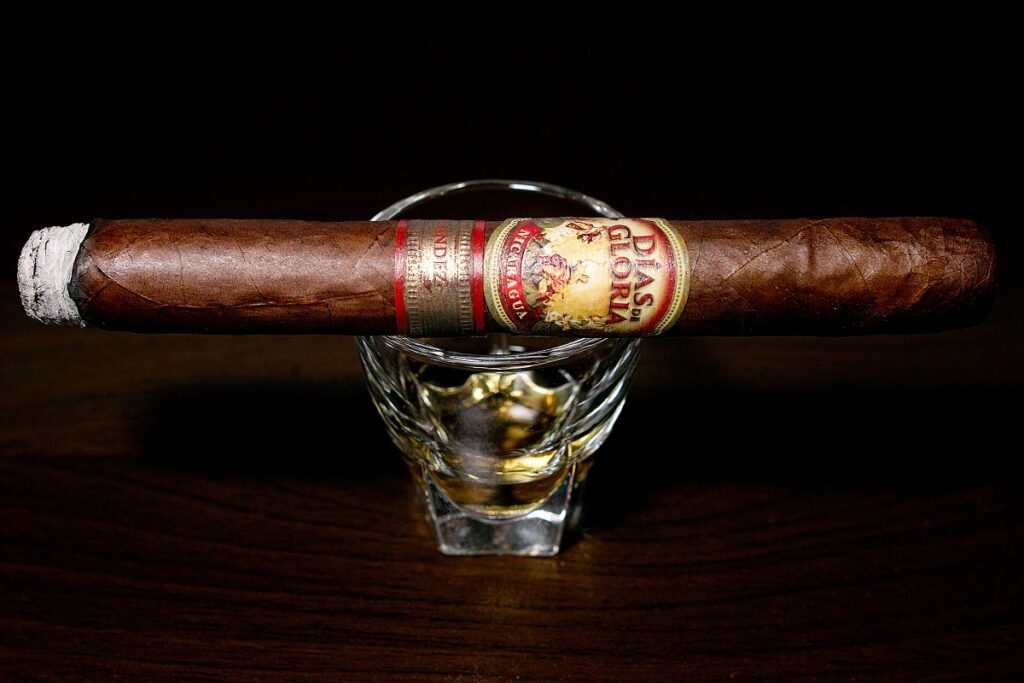 A.J. フェルナンデス ディアス デ グロリア ショートチャーチル/A.J. Fernandez Dias de Gloria Short Churchill Cigar Review|葉巻/シガー初心者の喫煙レビューブログ|喫煙序盤ファーストサード