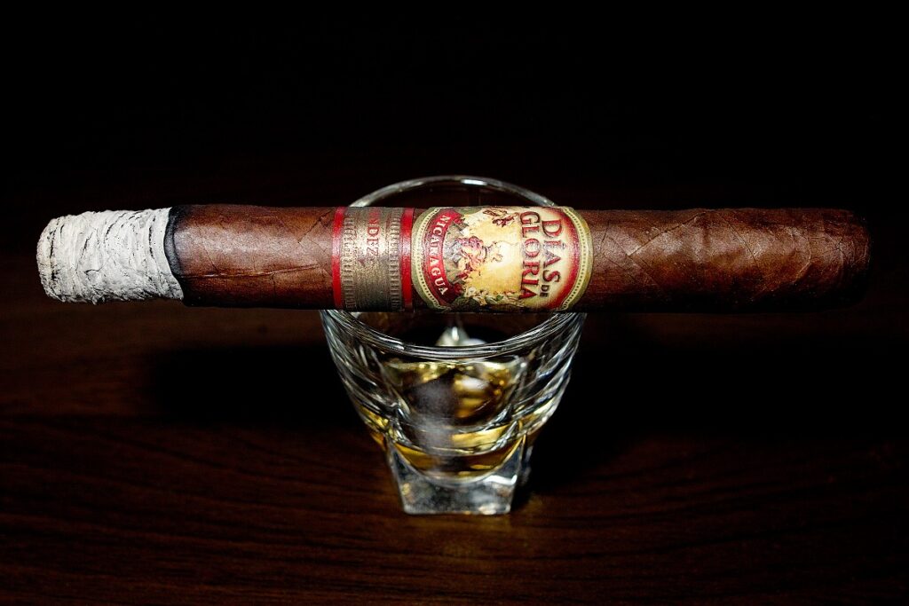 A.J. フェルナンデス ディアス デ グロリア ショートチャーチル/A.J. Fernandez Dias de Gloria Short Churchill Cigar Review|葉巻/シガー初心者の喫煙レビューブログ|喫煙序盤の終わり頃ファーストサード