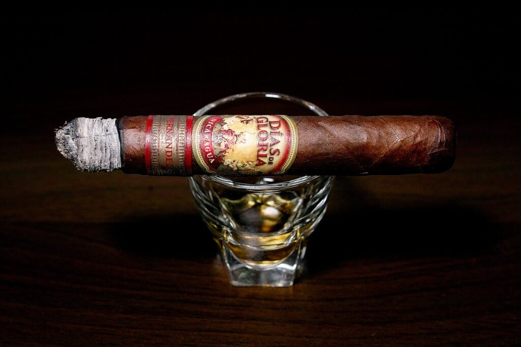 A.J. フェルナンデス ディアス デ グロリア ショートチャーチル/A.J. Fernandez Dias de Gloria Short Churchill Cigar Review|葉巻/シガー初心者の喫煙レビューブログ|喫煙中盤セカンドサード