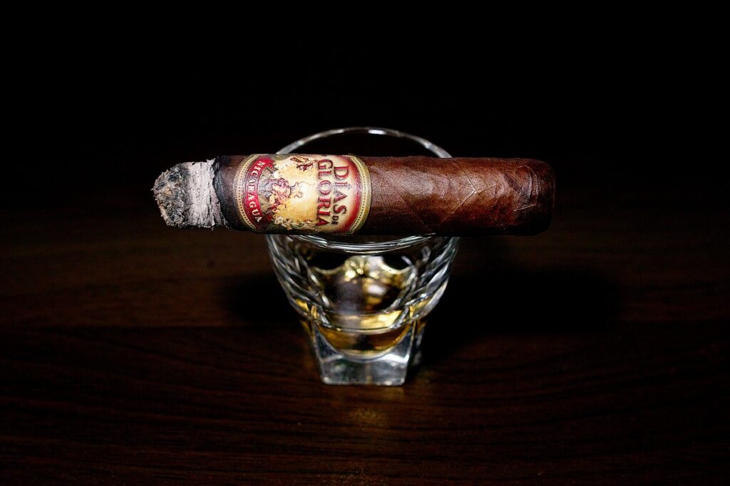 A.J. フェルナンデス ディアス デ グロリア ショートチャーチル/A.J. Fernandez Dias de Gloria Short Churchill Cigar Review|葉巻/シガー初心者の喫煙レビューブログ|喫煙中盤の終わり頃セカンドサード