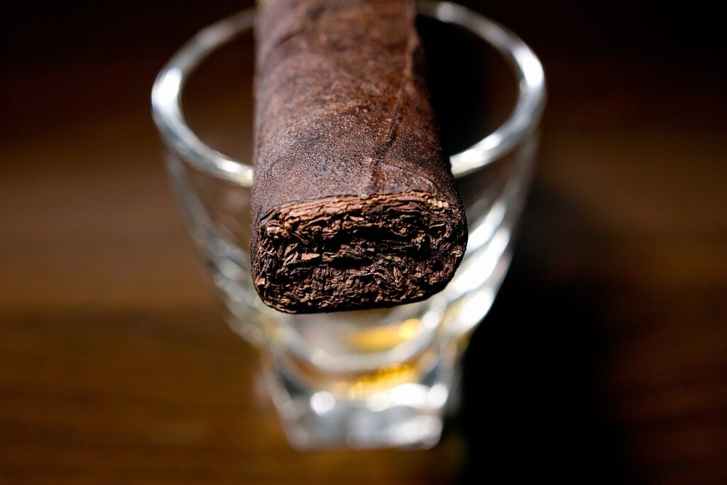 A.J. フェルナンデス サンロターノ マデューロ ロブスト/A.J. Fernandez San Lotano Requiem Maduro Robusto Cigar Review｜葉巻/シガー初心者の喫煙レビューブログ｜ギャラリー6