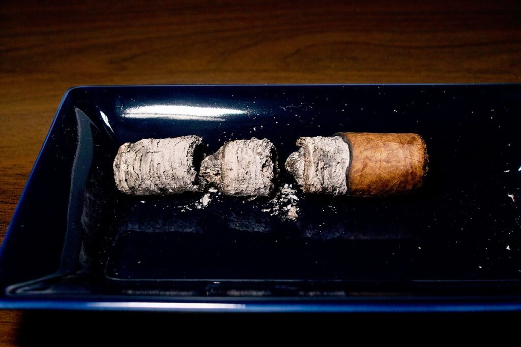 チンチャレロ ペティロブスト (2ヶ月間自家発酵器熟成)/Chinchalero Picadillos (Aging in Fermentation Chamber for 2 Months) Cigar Review｜葉巻/シガー初心者の喫煙レビューブログ｜喫煙終了後ファイナルアッシュ