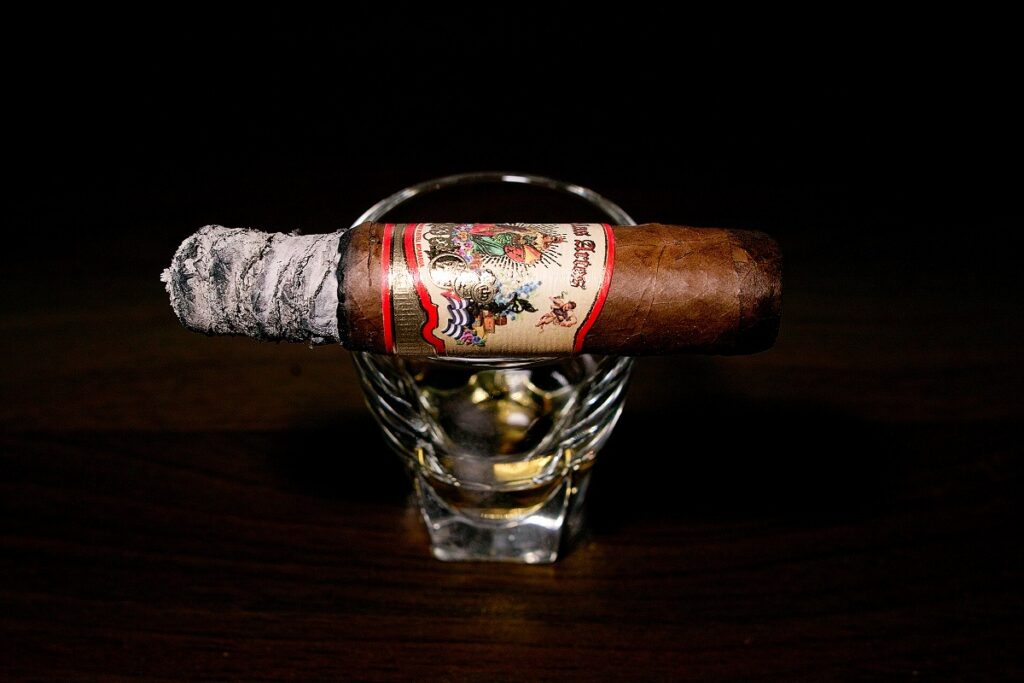 A.J. フェルナンデス ベジャス アルテス ロブスト/A.J. Fernandez Bellas Artes Robusto Cigar Review｜葉巻/シガー初心者の喫煙レビューブログ｜喫煙中盤の終わり頃セカンドサード