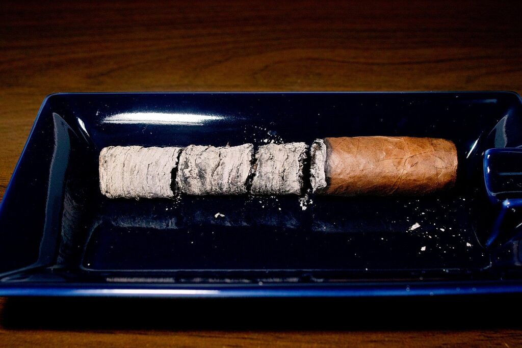 A.J. フェルナンデス ベジャス アルテス ロブスト/A.J. Fernandez Bellas Artes Robusto Cigar Review｜葉巻/シガー初心者の喫煙レビューブログ｜喫煙終了後ファイナルアッシュ