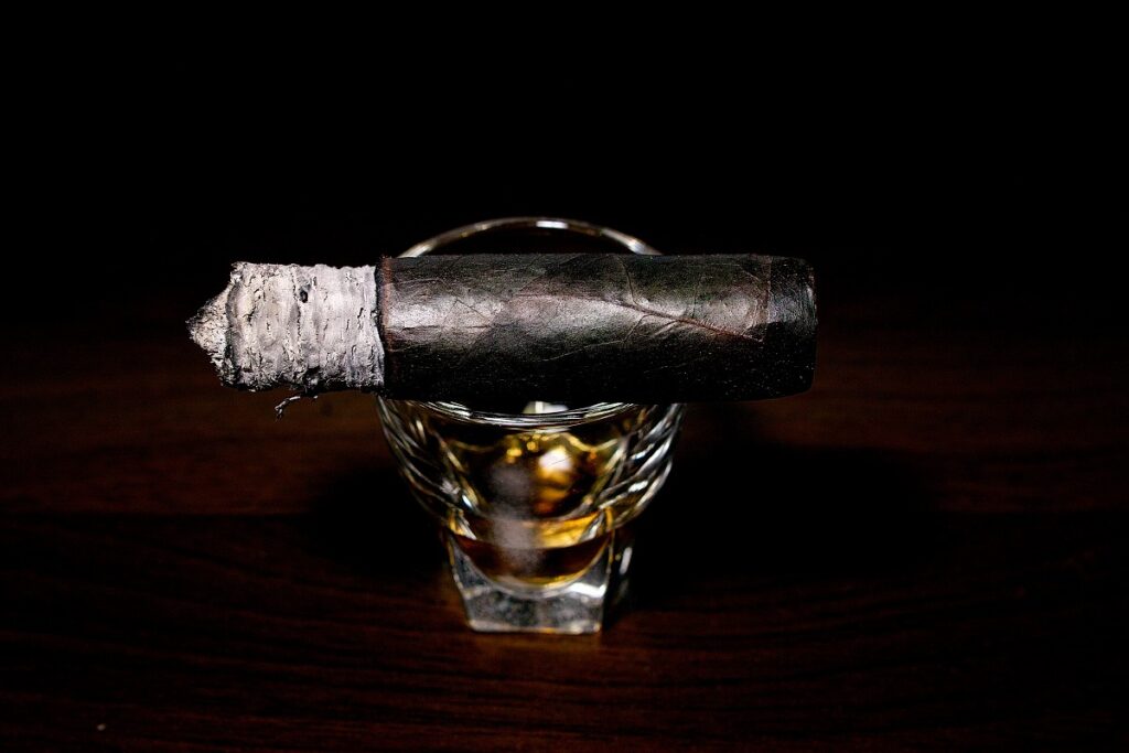 ペルドモ リザーブ 10th アニバーサリー マデューロ エピキュア/Perdomo Reserve 10th Anniversary Maduro Epicure Cigar Review｜葉巻/シガー初心者の喫煙レビューブログ｜喫煙中盤の終わり頃セカンドサード