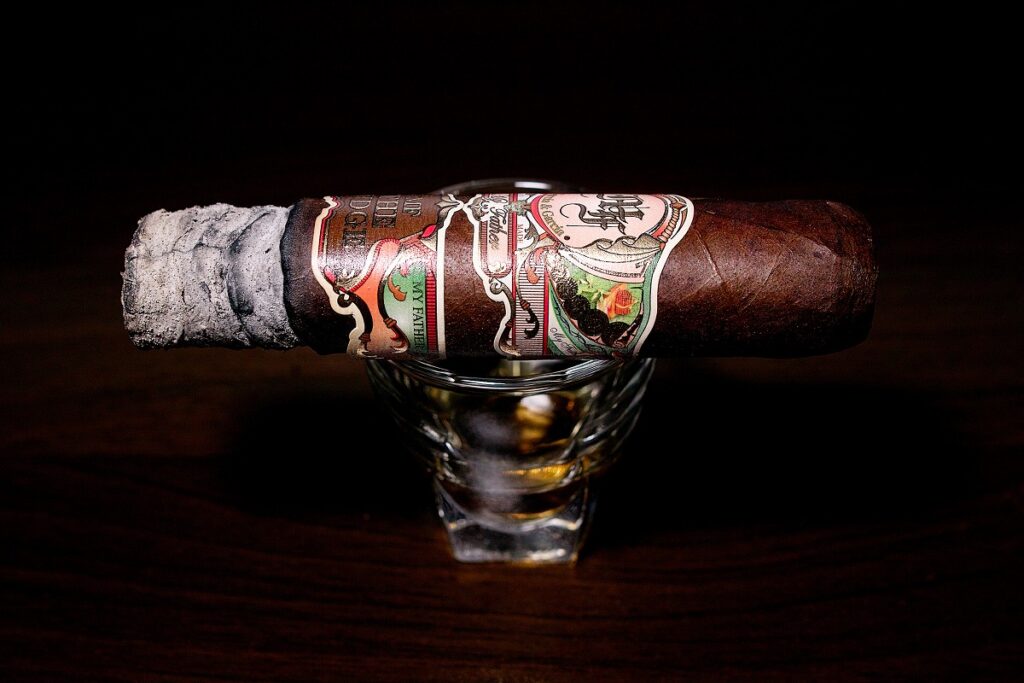 マイファーザー ザ・ジャッジ グランドロブスト/My Father The Judge Grand Robusto Cigar Review｜葉巻/シガー初心者の喫煙レビューブログ｜喫煙序盤の終わり頃ファーストサード