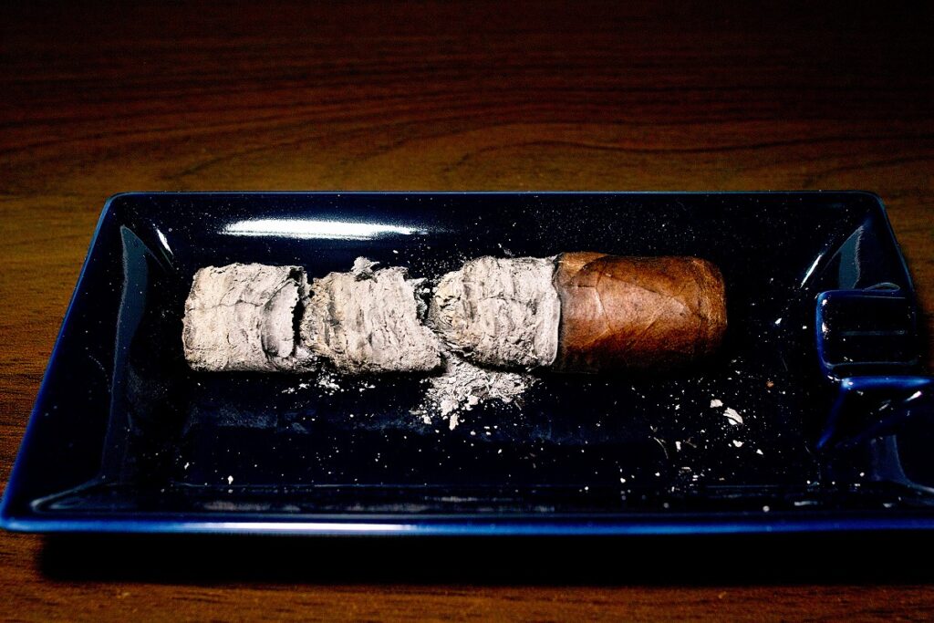 マイファーザー ザ・ジャッジ グランドロブスト/My Father The Judge Grand Robusto Cigar Review｜葉巻/シガー初心者の喫煙レビューブログ｜喫煙終了後ファイナルアッシュ