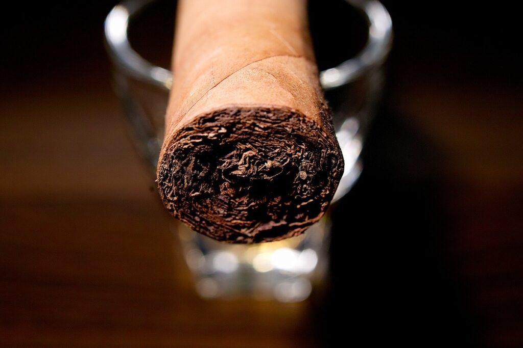 ペルドモ リザーブ 10th アニバーサリー シャンパン エピキュア/Perdomo Reserve 10th Anniversary Champagne Connecticut Epicure Cigar Review｜葉巻/シガー初心者の喫煙レビューブログ｜ギャラリー6