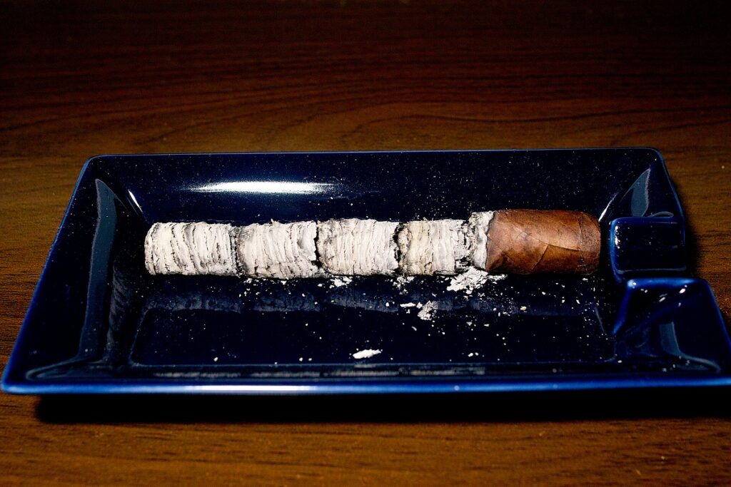 ホヤ・デ・ニカラグア シンコ デ シンコ コロナエクストラ/Joya de Nicaragua Cinco de Cinco Corona Extra Cigar Review|葉巻/シガー初心者の喫煙レビューブログ|喫煙終了後ファイナルアッシュ