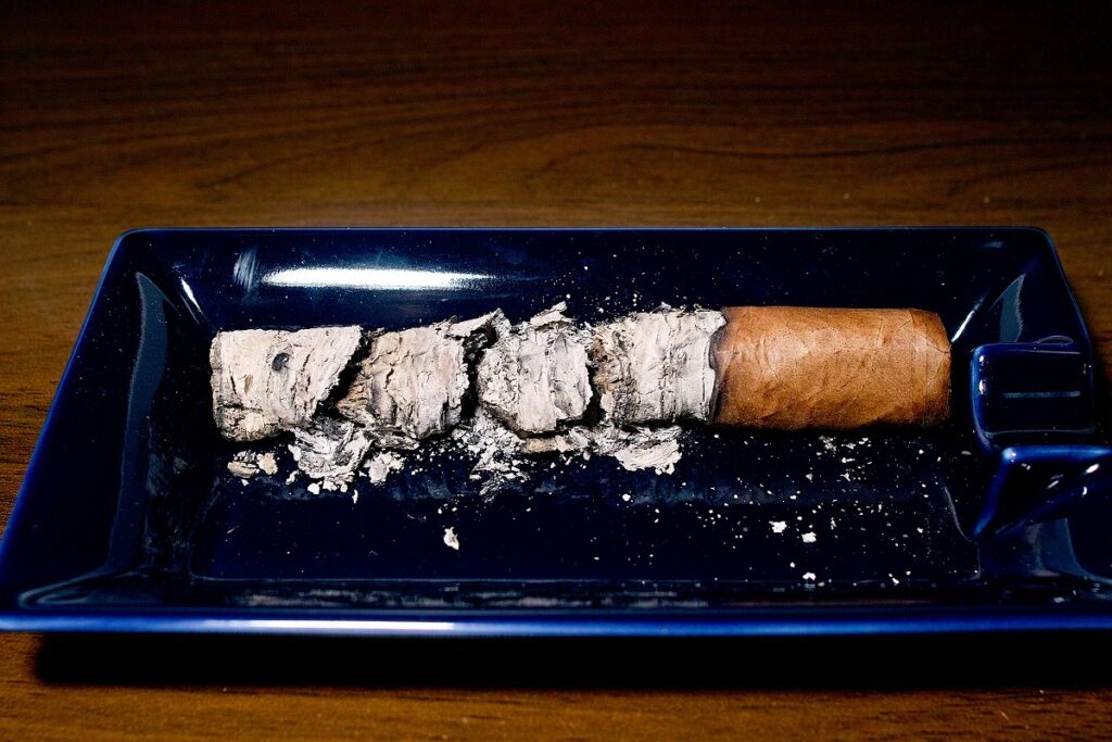 マイファーザー エル・センチュリオン H-2K-CT トロ/My Father El Centurion H-2K-CT Toro Cigar Review｜葉巻/シガー初心者の喫煙レビューブログ｜喫煙終了後ファイナルアッシュ
