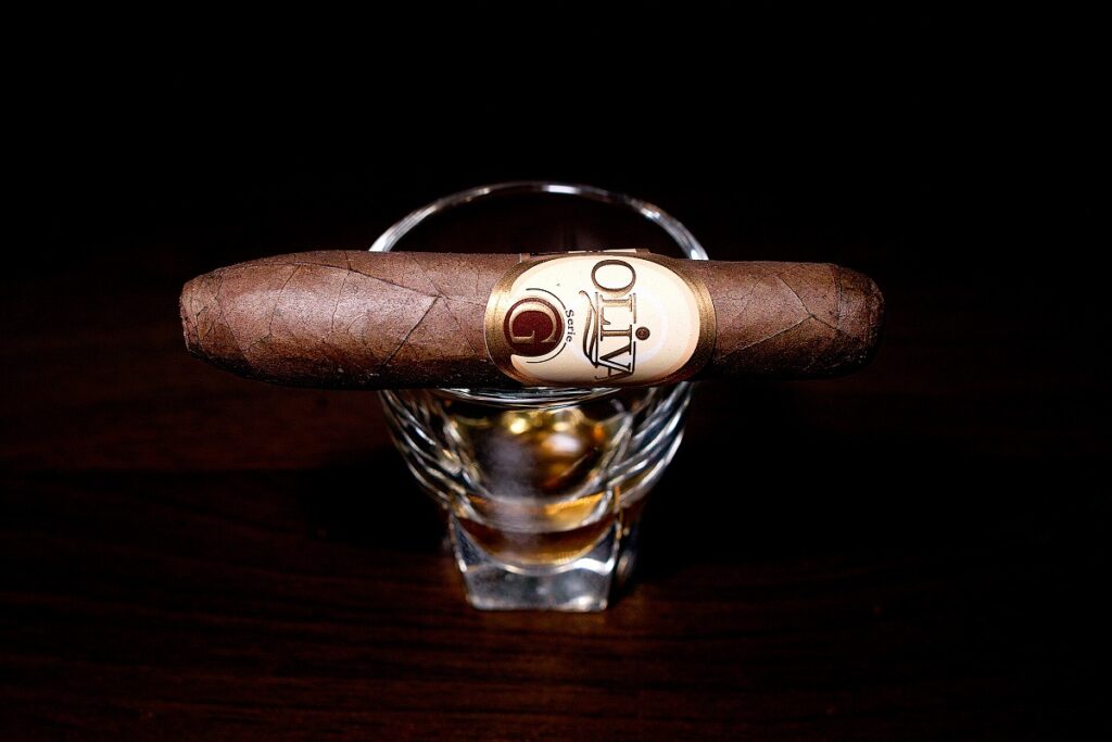 オリバ セリー G スペシャル G/Oliva Serie G Special G Cigar Review｜葉巻/シガー初心者の喫煙レビューブログ｜ギャラリー1