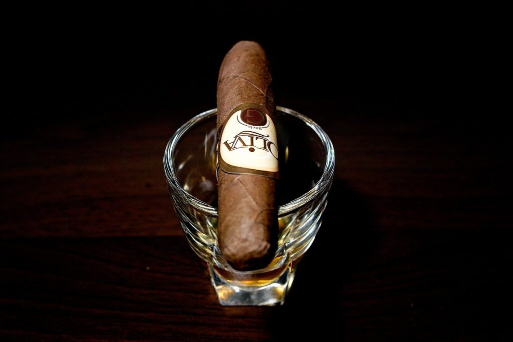 オリバ セリー G スペシャル G/Oliva Serie G Special G Cigar Review｜葉巻/シガー初心者の喫煙レビューブログ｜ギャラリー4