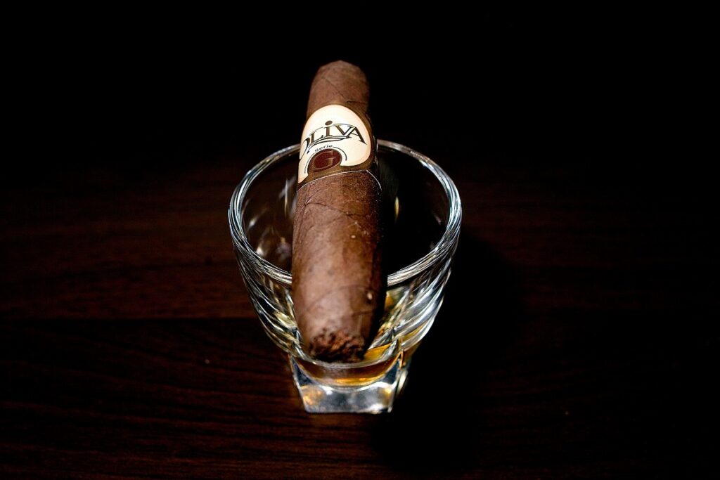 オリバ セリー G スペシャル G/Oliva Serie G Special G Cigar Review｜葉巻/シガー初心者の喫煙レビューブログ｜ギャラリー5