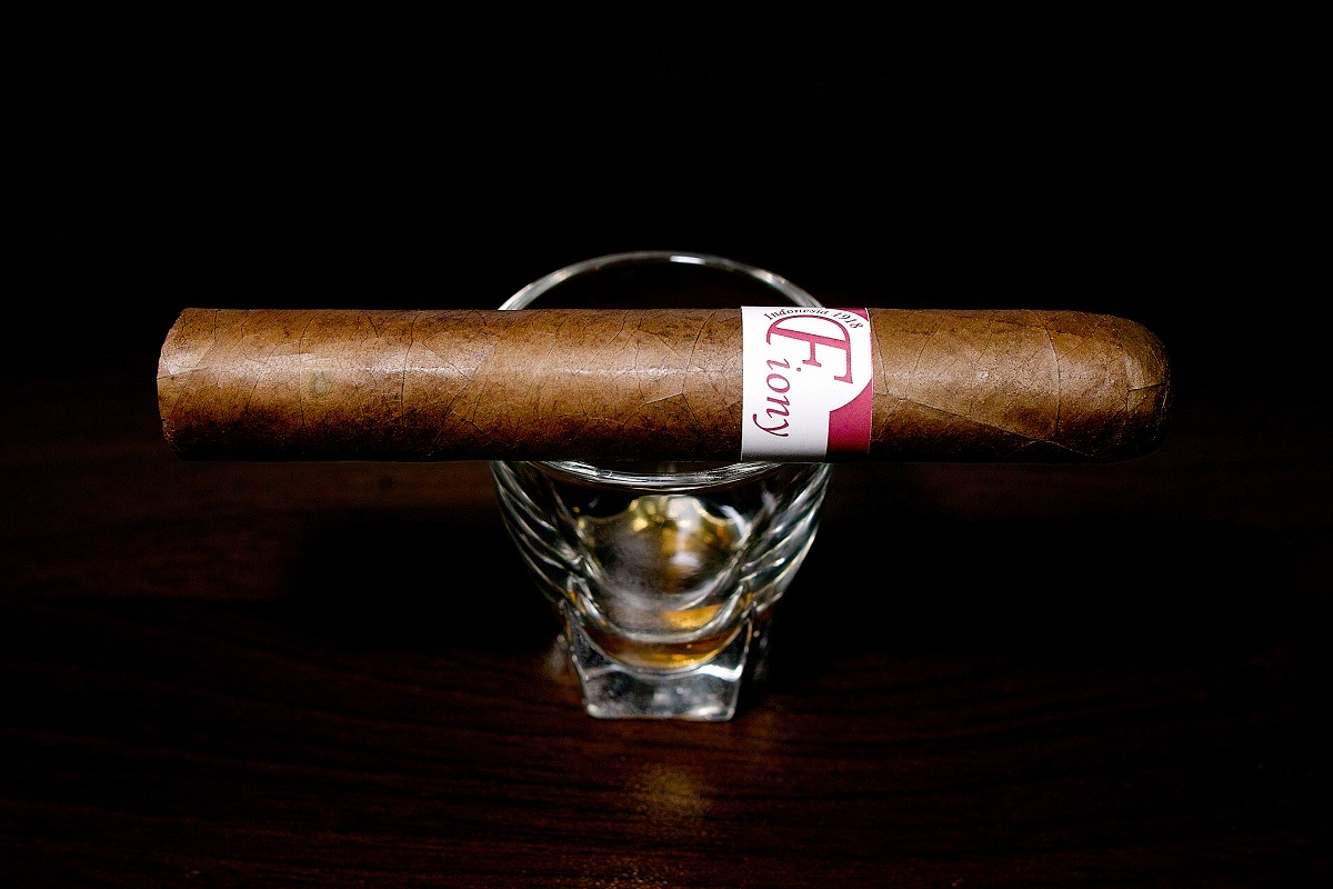 フィオニー ロブスト/Fiony Robustos Cigar Review｜葉巻/シガー初心者の喫煙レビューブログ｜ギャラリー1