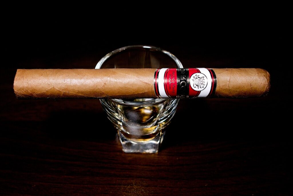 フロール・デ・コパン ベリコソ/Flor de Copan Belicoso Cigar Review|葉巻/シガー初心者の喫煙レビューブログ|ギャラリー2_2