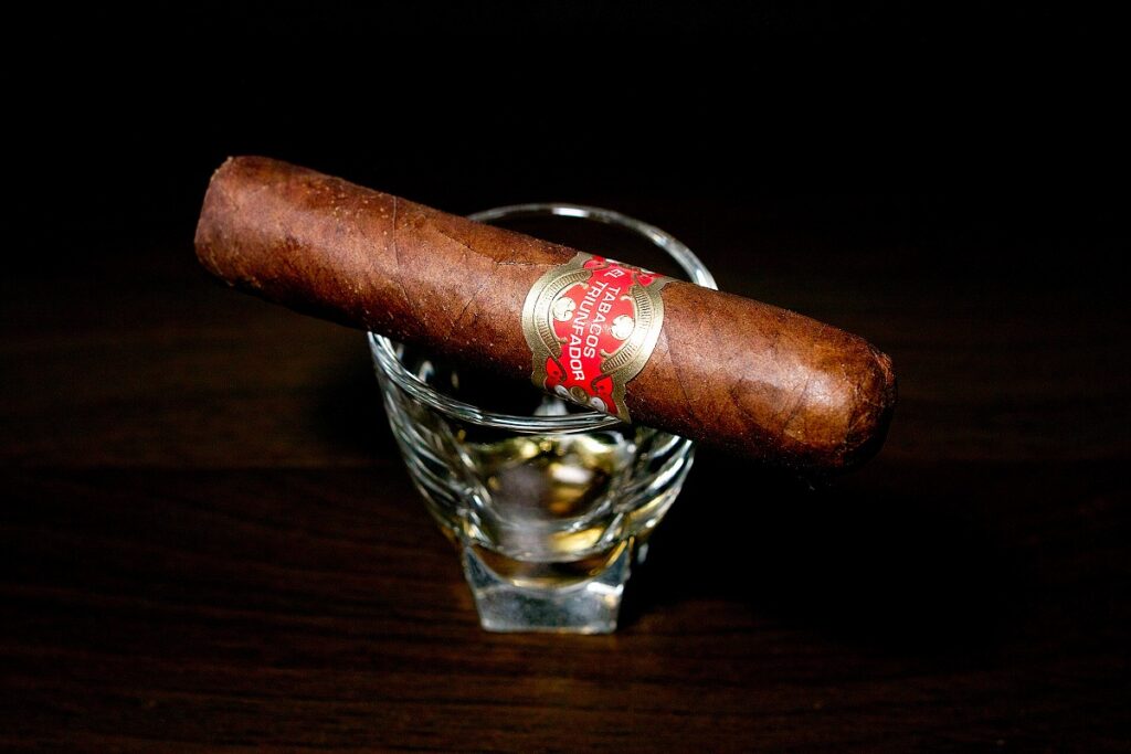 タトゥアヘ エル・トリウンファドール ペティロブスト/Tatuaje El Triunfador Petite Robusto Cigar Review｜葉巻/シガー初心者の喫煙レビューブログ｜ギャラリー2