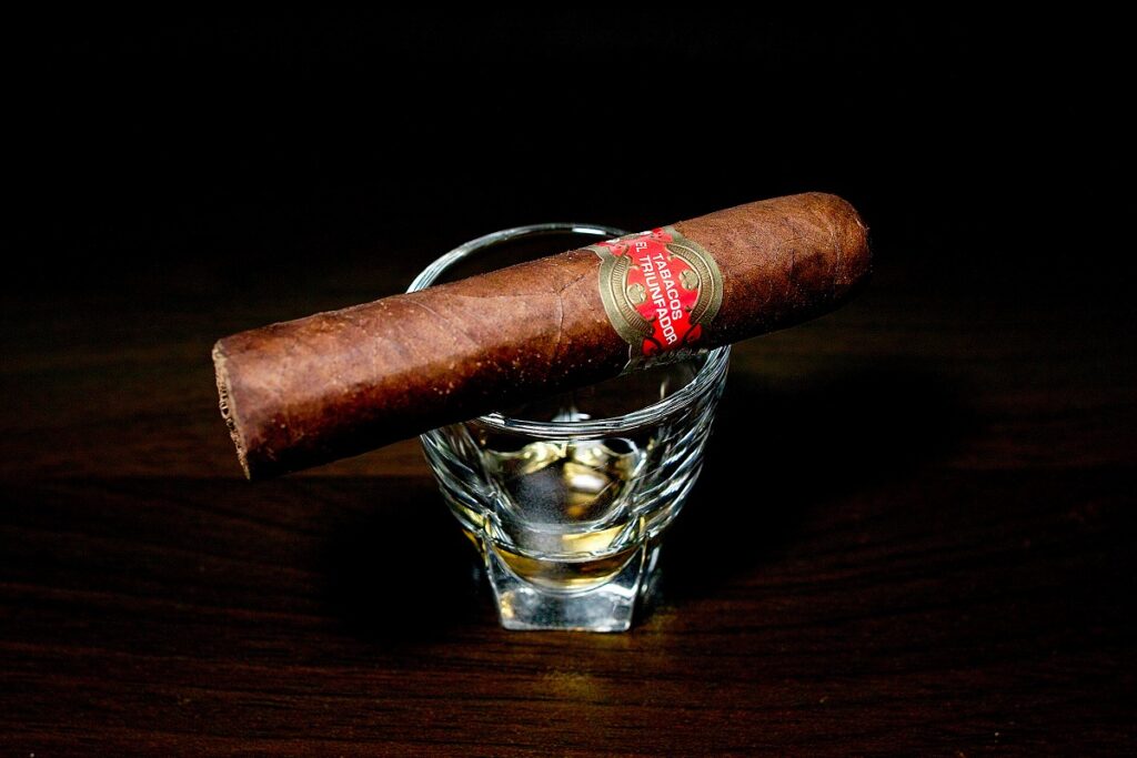 タトゥアヘ エル・トリウンファドール ペティロブスト/Tatuaje El Triunfador Petite Robusto Cigar Review｜葉巻/シガー初心者の喫煙レビューブログ｜ギャラリー3