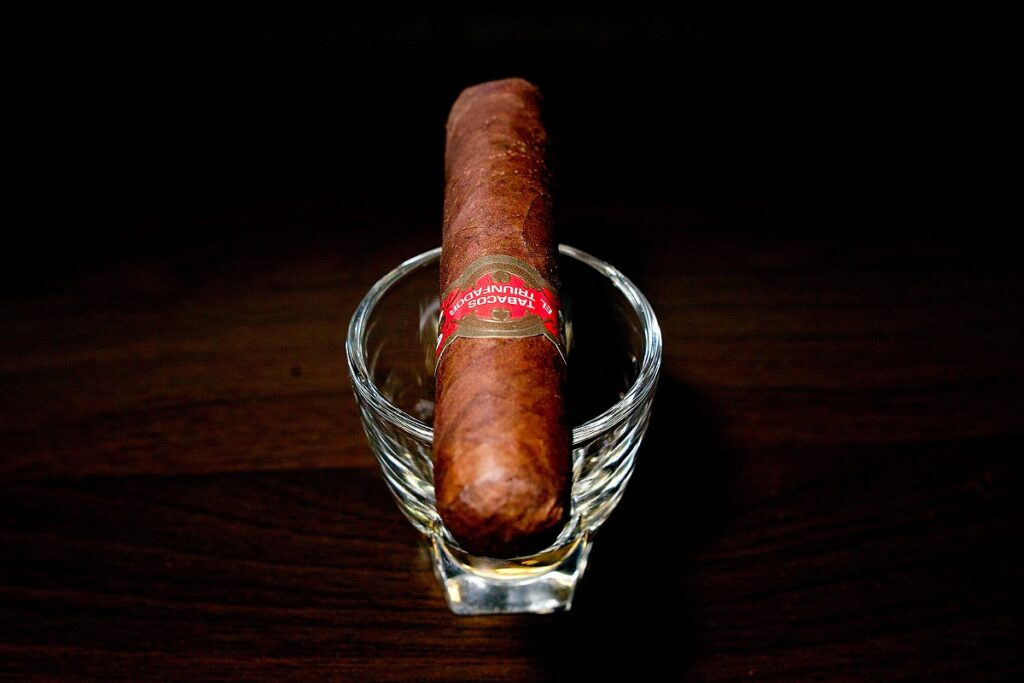 タトゥアヘ エル・トリウンファドール ペティロブスト/Tatuaje El Triunfador Petite Robusto Cigar Review｜葉巻/シガー初心者の喫煙レビューブログ｜ギャラリー4