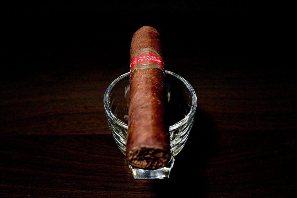 タトゥアヘ エル・トリウンファドール ペティロブスト/Tatuaje El Triunfador Petite Robusto Cigar Review｜葉巻/シガー初心者の喫煙レビューブログ｜ギャラリー5