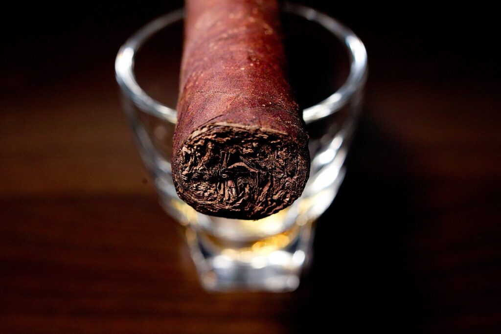 タトゥアヘ エル・トリウンファドール ペティロブスト/Tatuaje El Triunfador Petite Robusto Cigar Review｜葉巻/シガー初心者の喫煙レビューブログ｜ギャラリー6