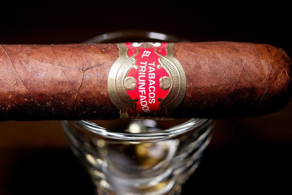 タトゥアヘ エル・トリウンファドール ペティロブスト/Tatuaje El Triunfador Petite Robusto Cigar Review｜葉巻/シガー初心者の喫煙レビューブログ｜ギャラリー7