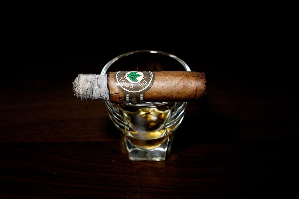 ホヤ・デ・ニカラグア クラシコ オリジナル セレクション B (自家製発酵器熟成)/Joya de Nicaragua Clasico Original Seleccion B (Fermentation chamber aging) Cigar Review｜葉巻/シガー初心者の喫煙レビューブログ｜喫煙終盤ファイナルサード