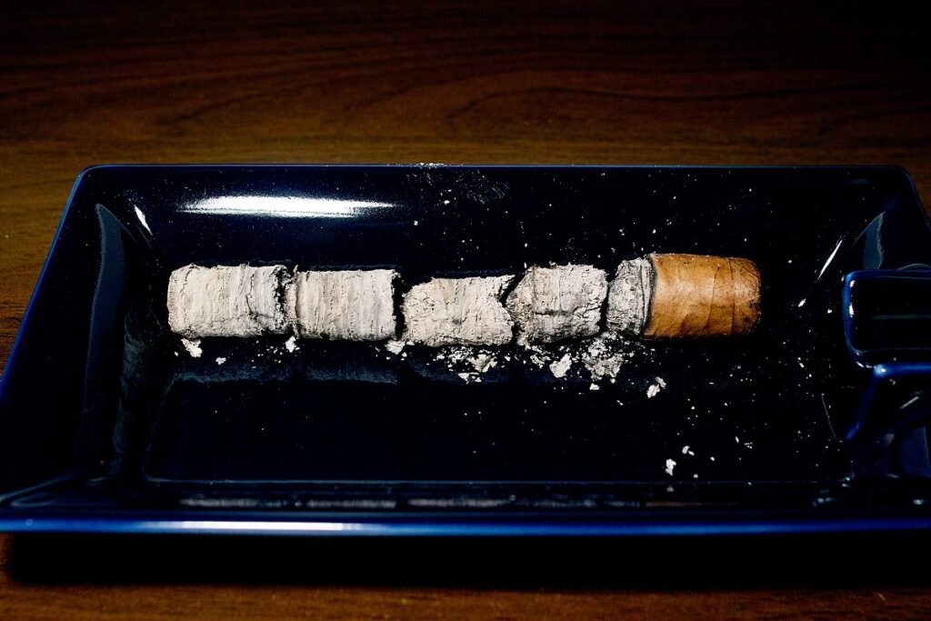 ホヤ・デ・ニカラグア クラシコ オリジナル セレクション B (自家製発酵器熟成)/Joya de Nicaragua Clasico Original Seleccion B (Fermentation chamber aging) Cigar Review｜葉巻/シガー初心者の喫煙レビューブログ｜喫煙終了後ファイナルアッシュ