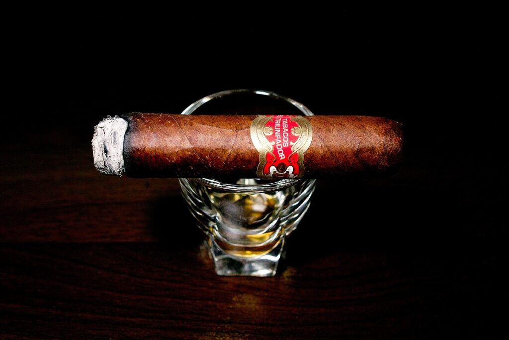 タトゥアヘ エル・トリウンファドール ペティロブスト/Tatuaje El Triunfador Petite Robusto Cigar Review｜葉巻/シガー初心者の喫煙レビューブログ｜喫煙序盤ファーストサード