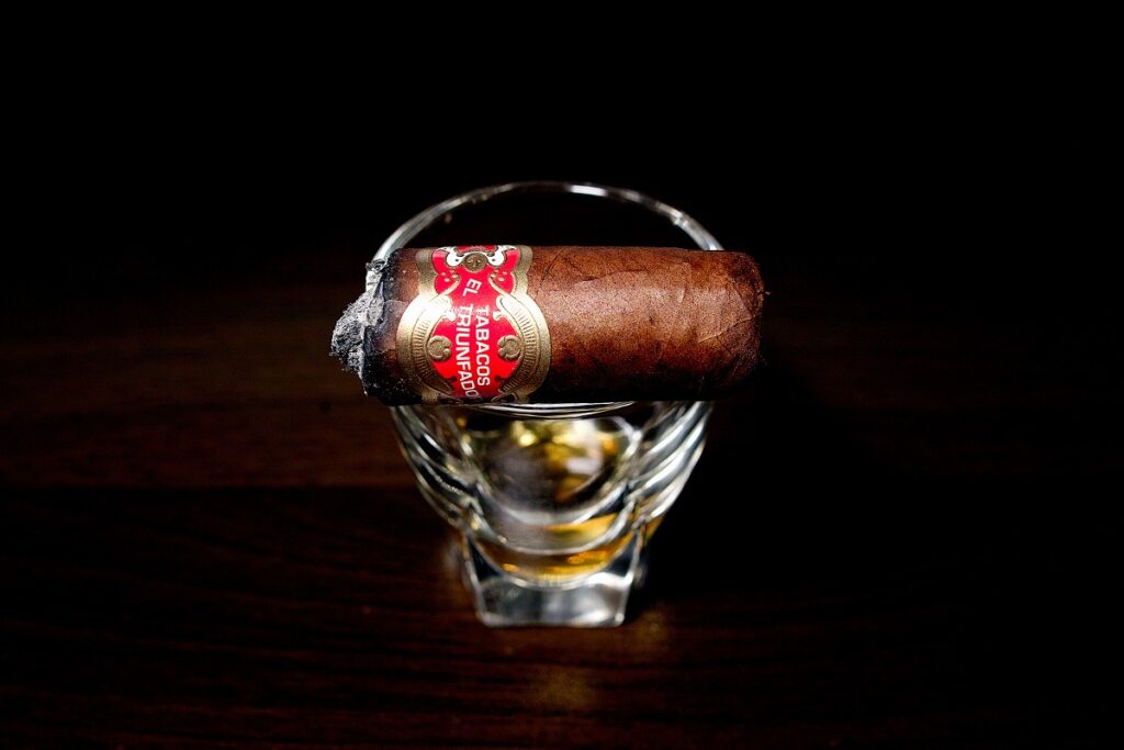 タトゥアヘ エル・トリウンファドール ペティロブスト/Tatuaje El Triunfador Petite Robusto Cigar Review｜葉巻/シガー初心者の喫煙レビューブログ｜喫煙終盤ファイナルサード