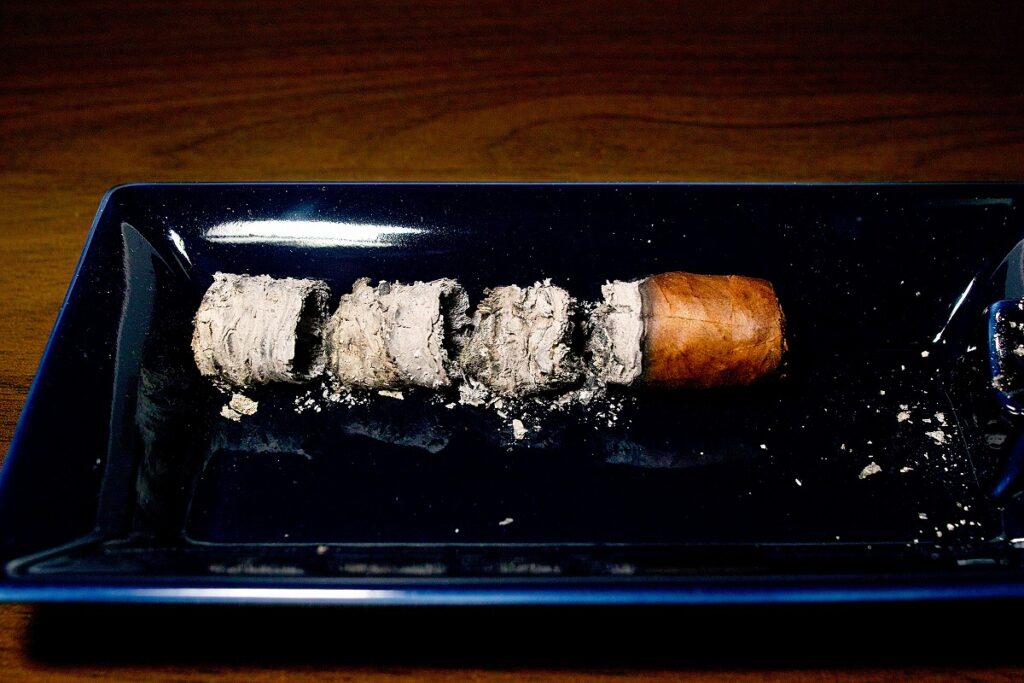 タトゥアヘ エル・トリウンファドール ペティロブスト/Tatuaje El Triunfador Petite Robusto Cigar Review｜葉巻/シガー初心者の喫煙レビューブログ｜喫煙終了後ファイナルアッシュ