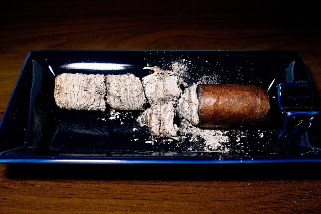 アレック・ブラッドリー マックス フリーク/Alec Bradley MAXX Freak Cigar Review｜葉巻/シガー初心者の喫煙レビューブログ｜喫煙終了後ファイナルアッシュ