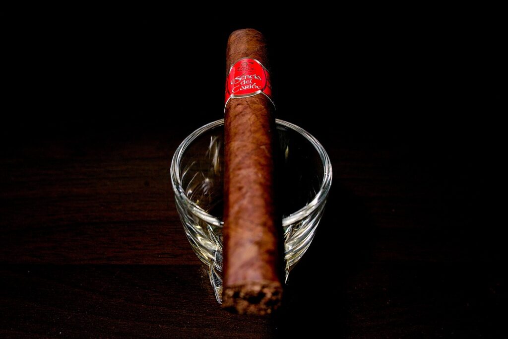 エセンシア・デ・カリブ ドブロネス/Esencia Del Caribe Doblones Cigar Review｜葉巻/シガー初心者の喫煙レビューブログ｜ギャラリー5