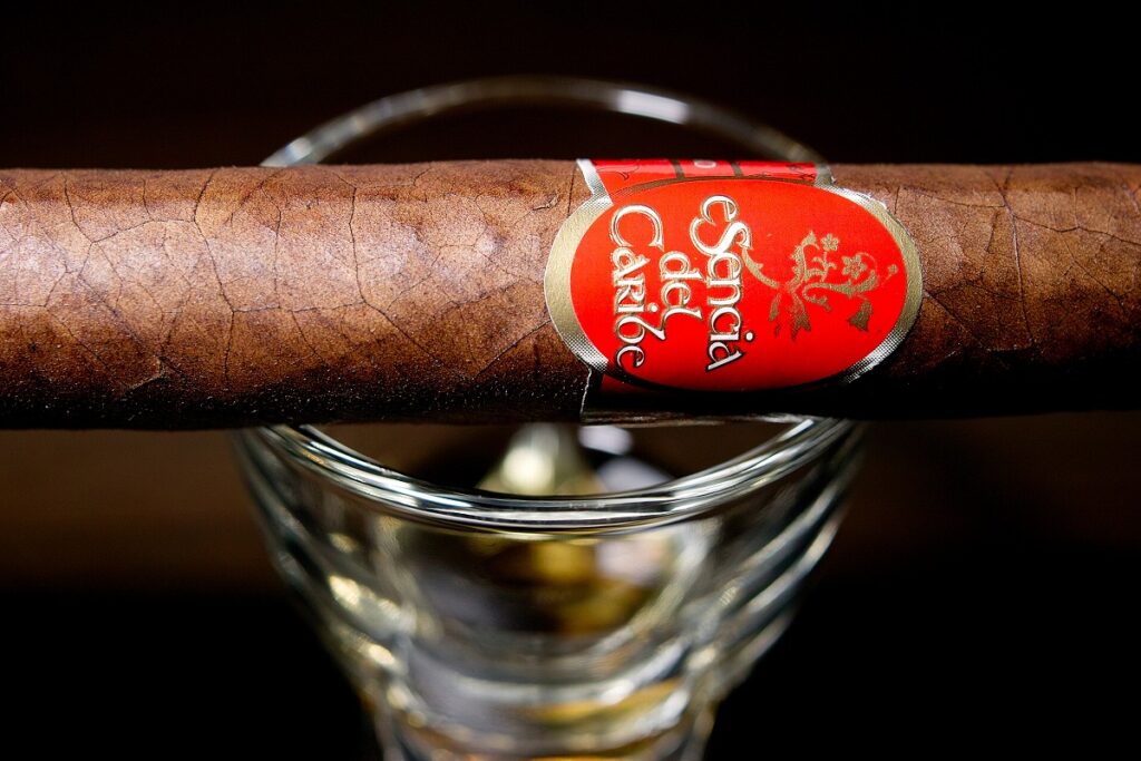エセンシア・デ・カリブ ドブロネス/Esencia Del Caribe Doblones Cigar Review｜葉巻/シガー初心者の喫煙レビューブログ｜ギャラリー7