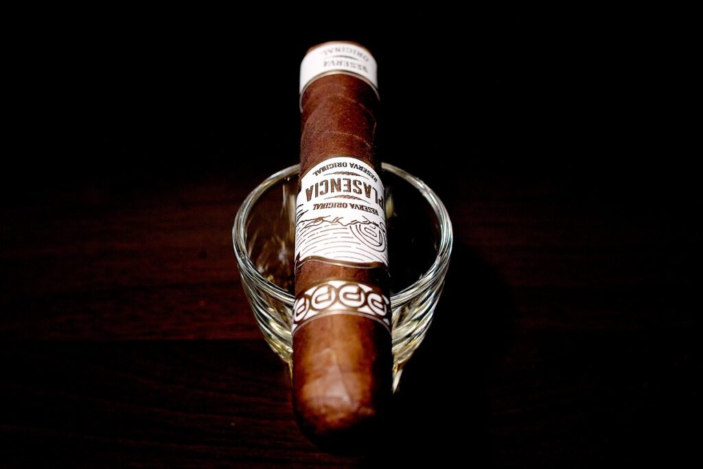 プラセンシア レゼルバ オリジナル ロブスト/Plasencia Reserva Original Robusto Cigar Review｜葉巻/シガー初心者の喫煙レビューブログ｜ギャラリー4
