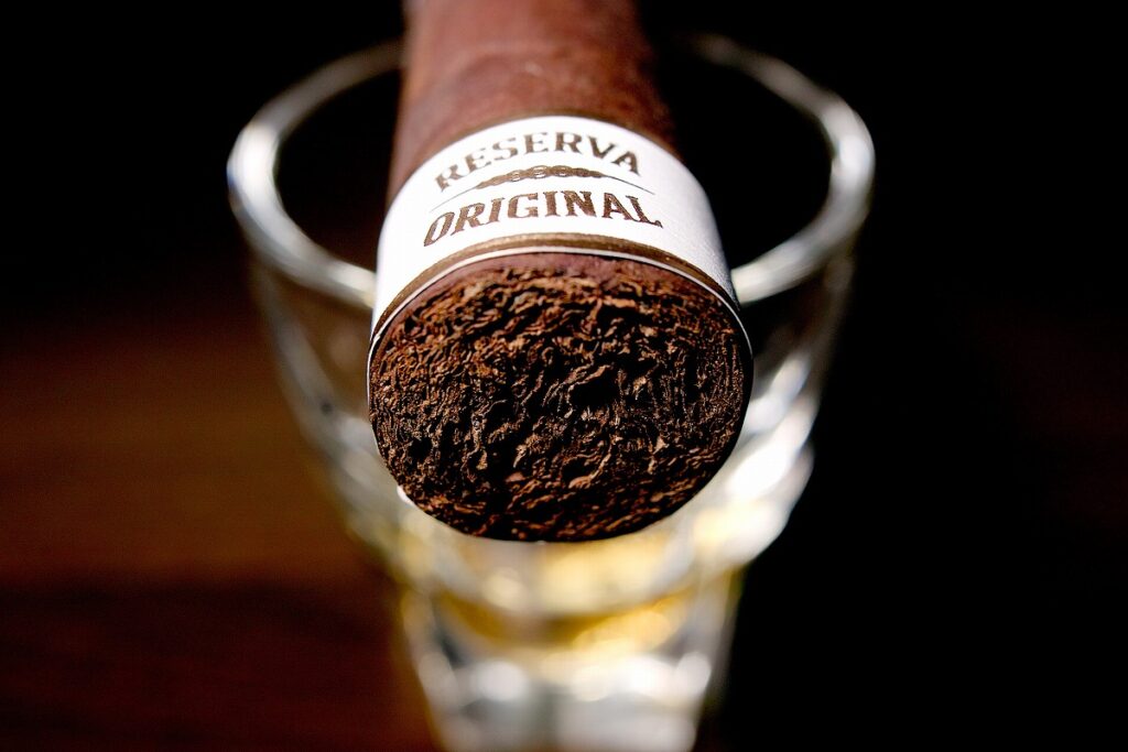 プラセンシア レゼルバ オリジナル ロブスト/Plasencia Reserva Original Robusto Cigar Review｜葉巻/シガー初心者の喫煙レビューブログ｜ギャラリー6