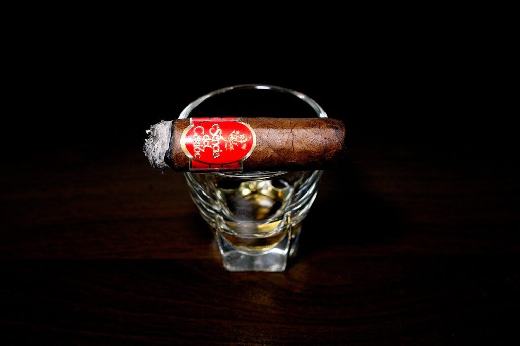 エセンシア・デ・カリブ ドブロネス/Esencia Del Caribe Doblones Cigar Review｜葉巻/シガー初心者の喫煙レビューブログ｜喫煙終盤ファイナルサード