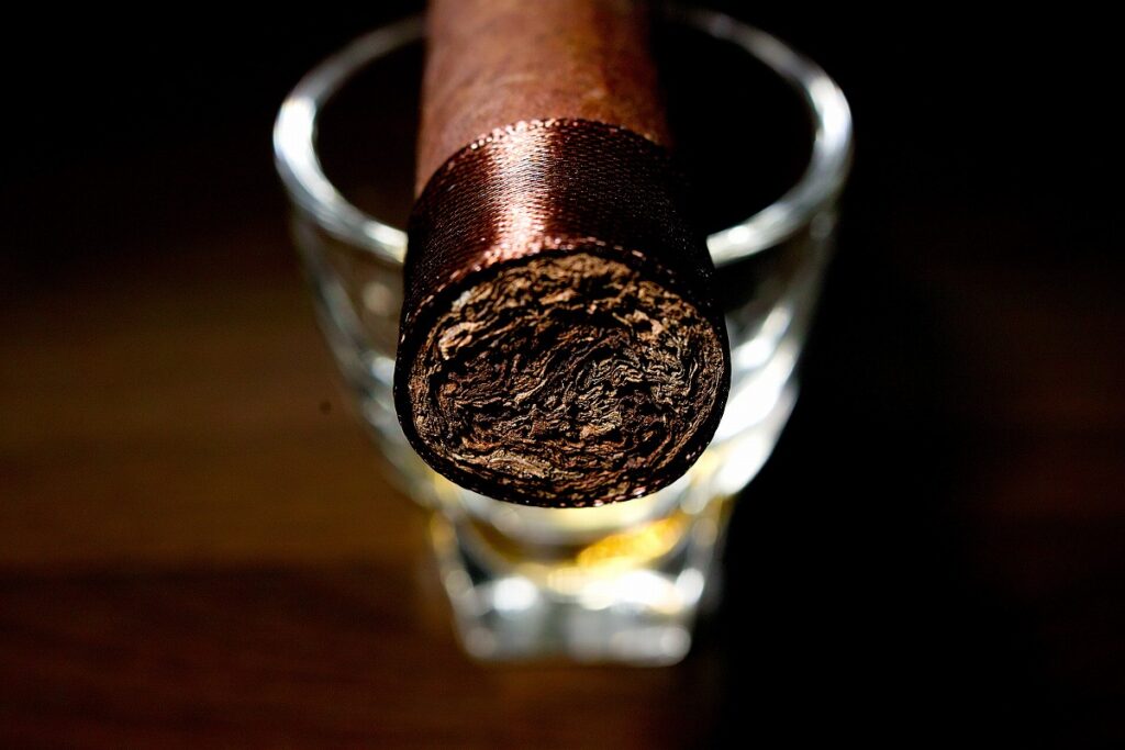 クエルボ・イ・ソブリノス ロブスト/Cuervo y Sobrinos Historiador Robusto Cigar Review｜葉巻/シガー初心者の喫煙レビューブログ｜ギャラリー6