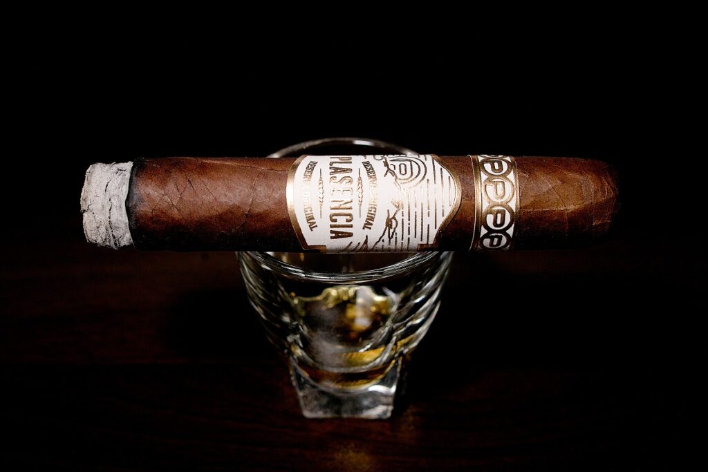 プラセンシア レゼルバ オリジナル ロブスト/Plasencia Reserva Original Robusto Cigar Review｜葉巻/シガー初心者の喫煙レビューブログ｜喫煙序盤ファーストサード