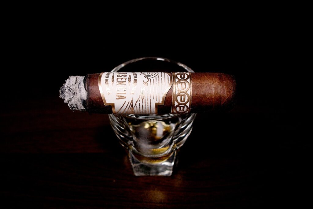 プラセンシア レゼルバ オリジナル ロブスト/Plasencia Reserva Original Robusto Cigar Review｜葉巻/シガー初心者の喫煙レビューブログ｜喫煙中盤セカンドサード